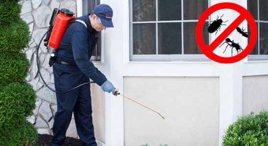 Hacılar Böcek İlaçlama böcek ilaçlama ve haşere kontrolü — ilaclama-tr.com